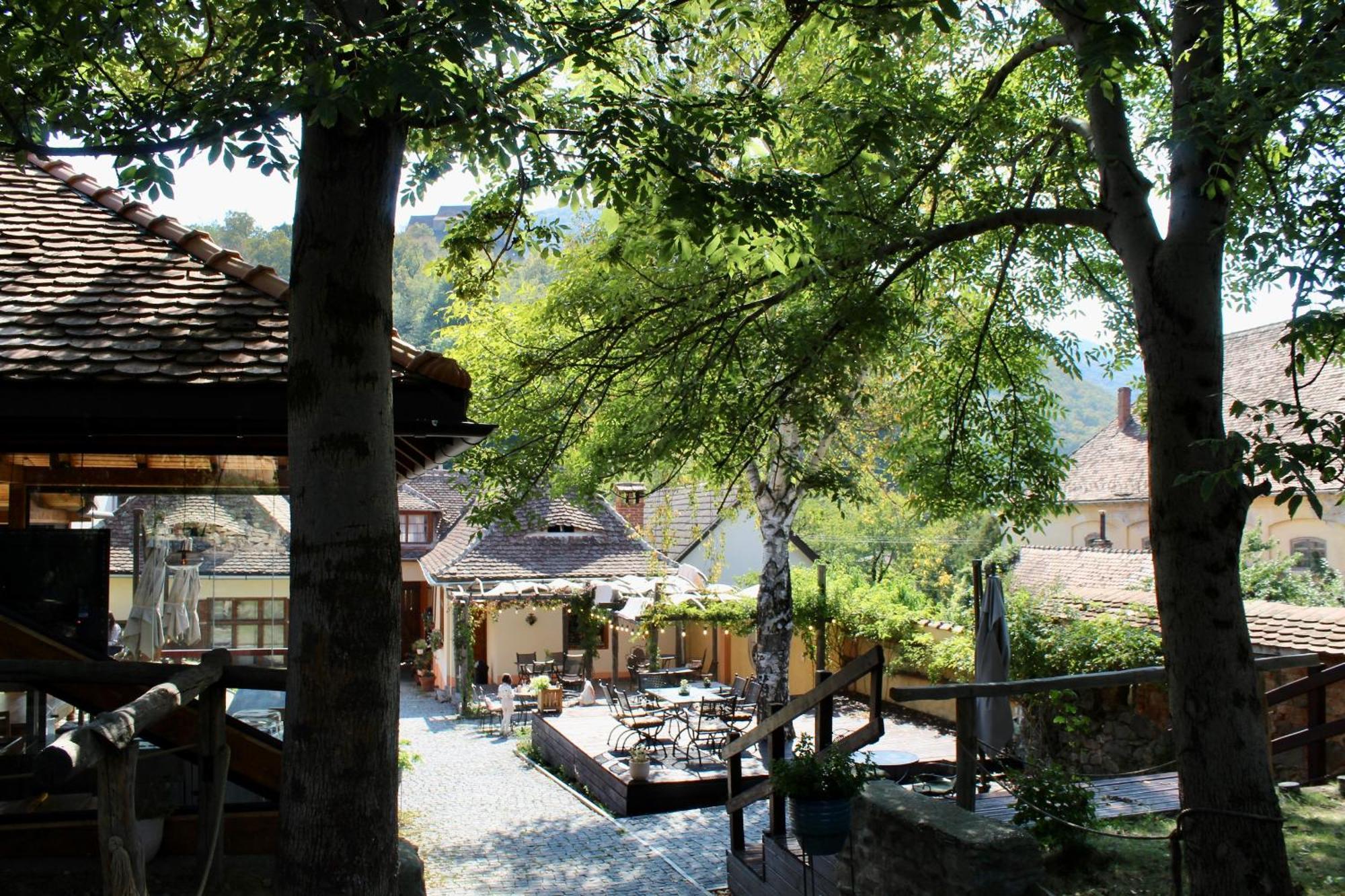 Pensiunea Agora Cisnadioara Dış mekan fotoğraf